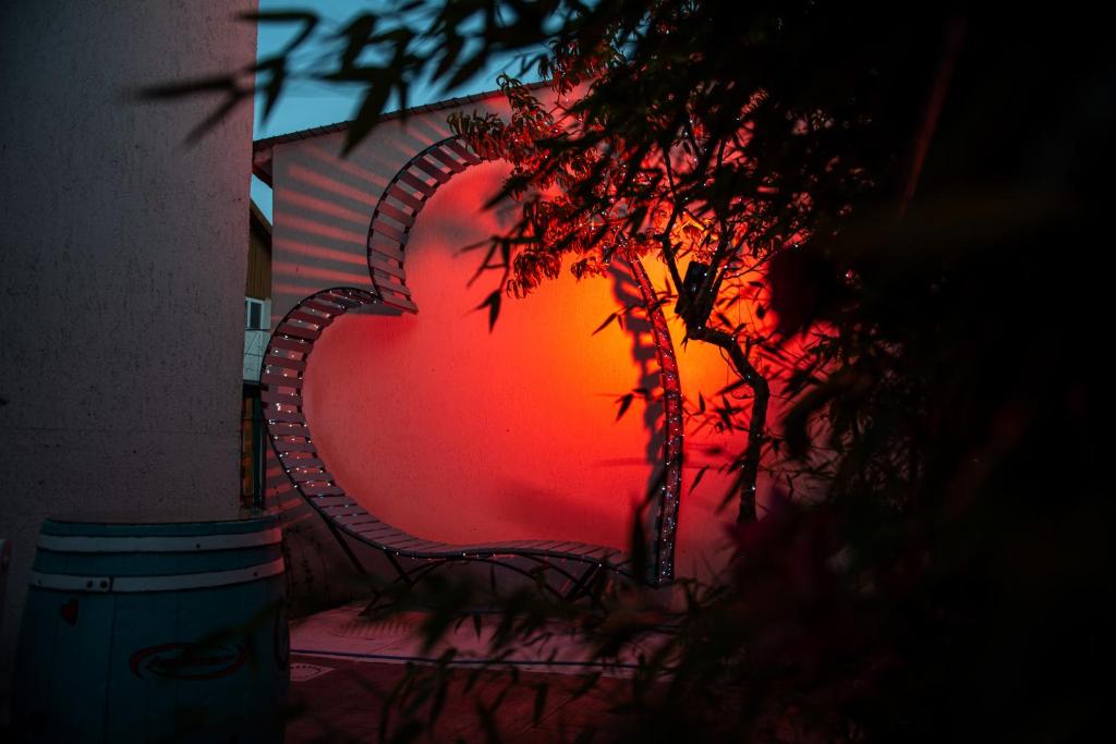 Grădină - decor inimă